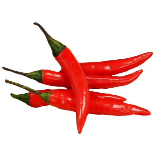 Red Chillies