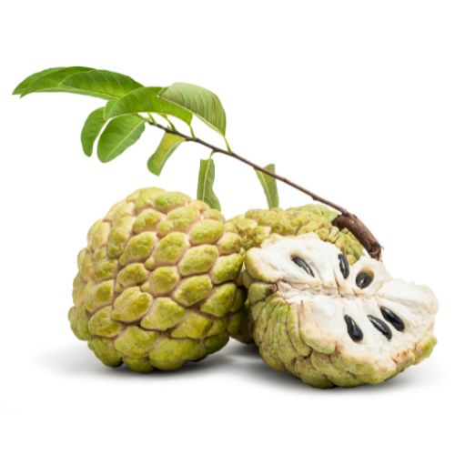 Custard Apple