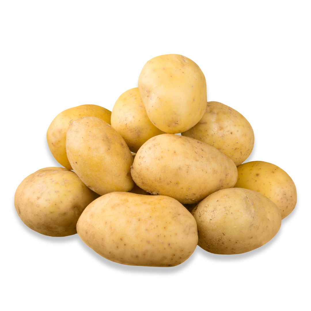 Potato