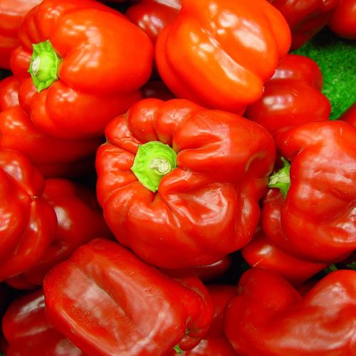 Capsicum (Red)