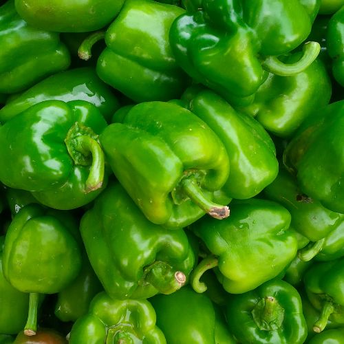 Capsicum Green
