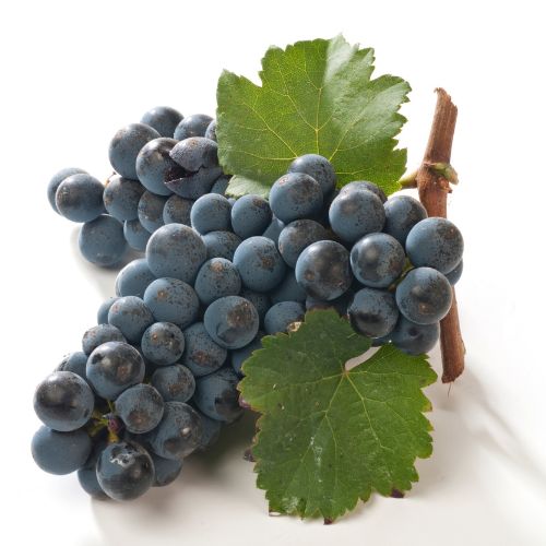 Grapes (Black)