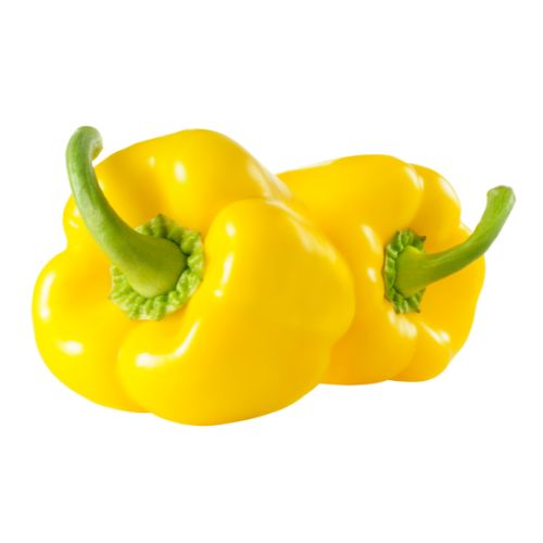 Capsicum (Yellow)