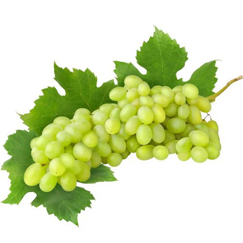 Grapes (Green)
