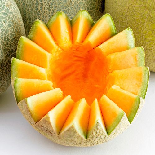 Musk Melon