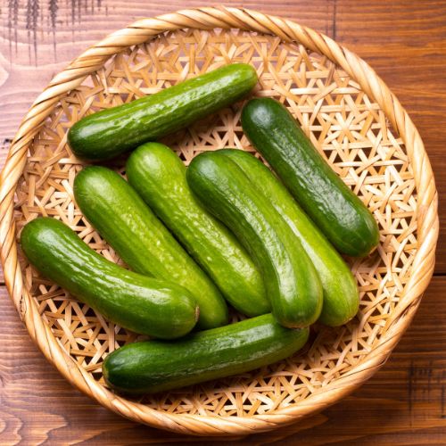 Cucumber